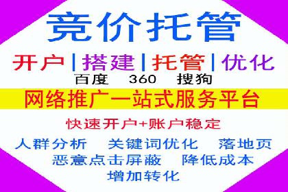 SEM优化师成功案例：助力企业实现品牌升级