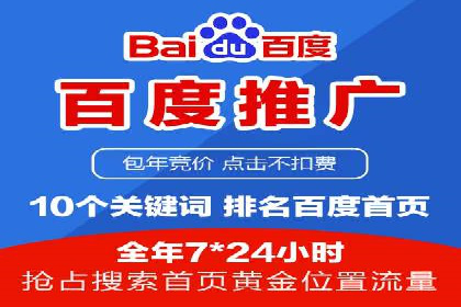 百度竞价与搜索引擎优化（SEO）结合的经典案例